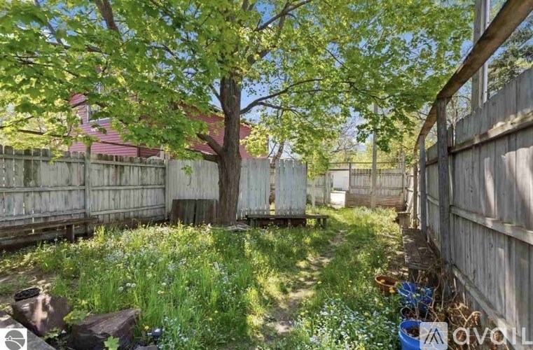 A backyard with a fence, a tree, and a shed.