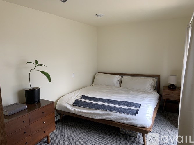 A bedroom with a bed, nightstand, and plant.