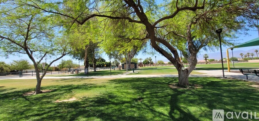 A tree in a grassy area with a sign that says "AVAILABLE".