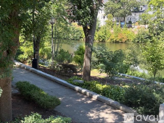 A tree-lined walkway leads to a body of water.