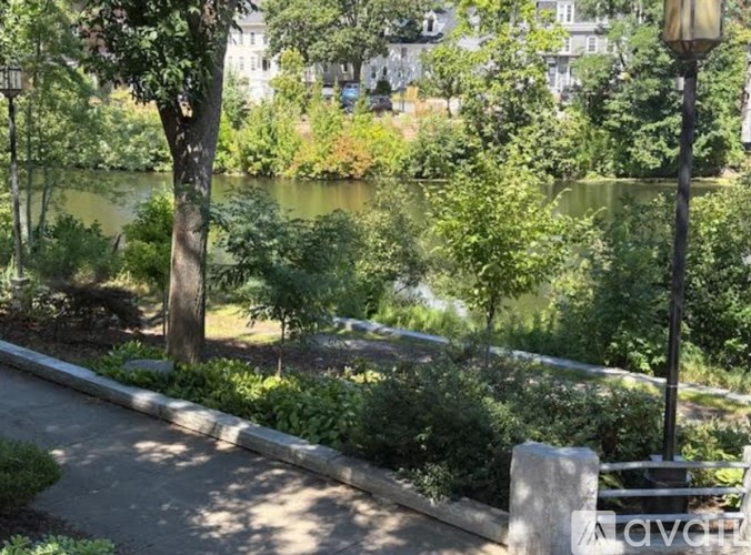 A park with a pond, trees, and a lamp post.