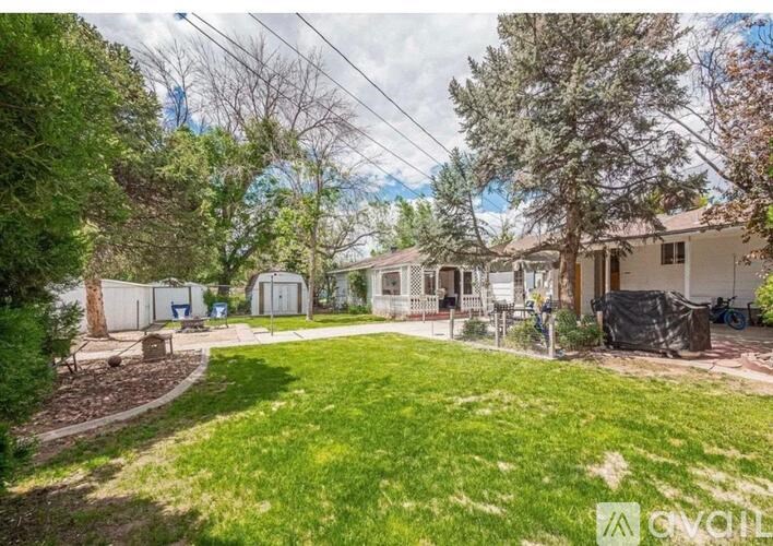 A backyard with a lawn and a shed.