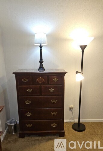 A brown chest of drawers with two lamps on top.