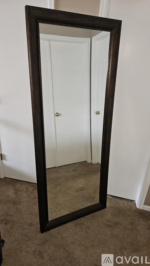 A large mirror with a black frame is leaning against a white door.