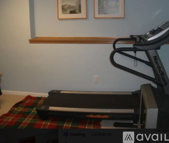 A treadmill is on a plaid blanket in a room.
