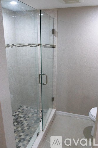 A glass shower stall with a white toilet in the background.