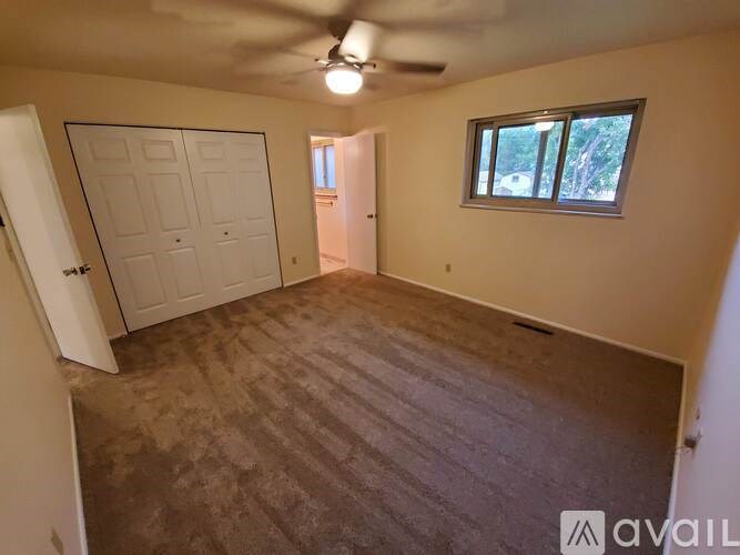 A room with a carpeted floor, a ceiling fan, and a window with a view of trees.