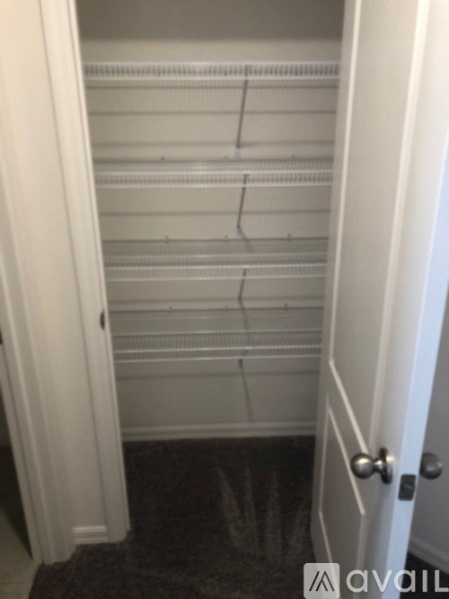 A white closet with a black carpet on the floor.