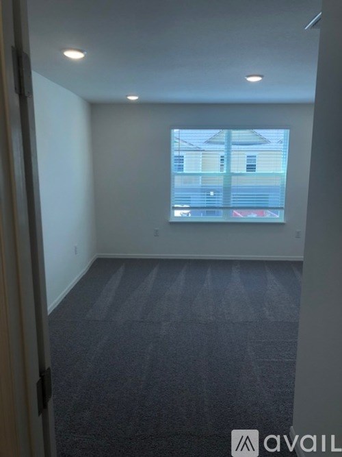 A carpeted room with a window and a door.