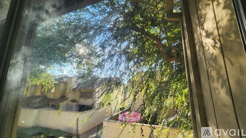 A view from inside a building looking out to a courtyard with trees and a building in the distance.