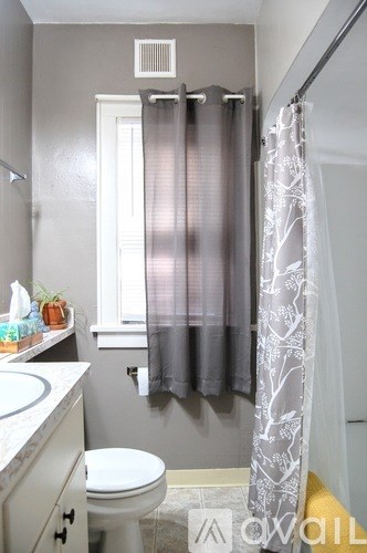 A bathroom with a toilet, sink, and shower curtain.