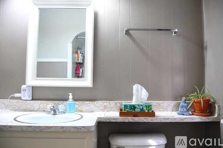 A bathroom with a mirror, towel rack, and a potted plant.