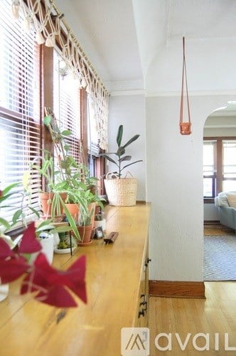 A long wooden table with a plant on it.