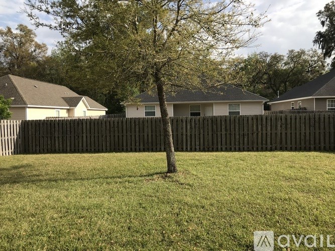 A tree stands in a grassy yard in front of a wooden fence and houses.