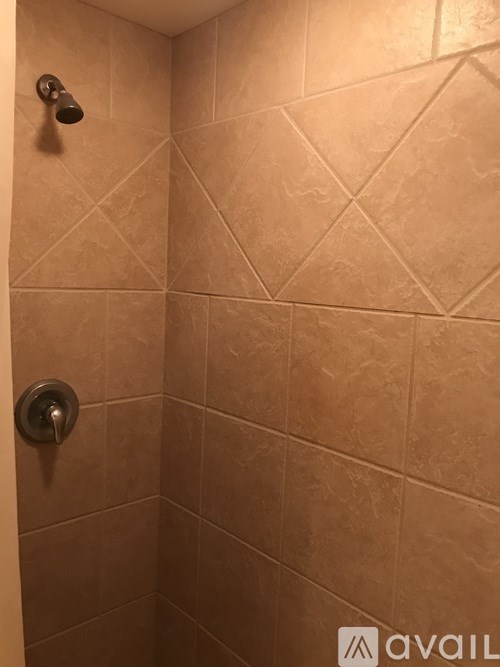 A shower with a wall of tiles and a wall-mounted shower head.
