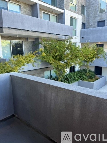 A balcony with a concrete wall and a tree in a planter box.
