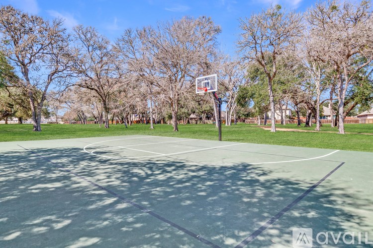 A basketball court surrounded by trees on a sunny day.