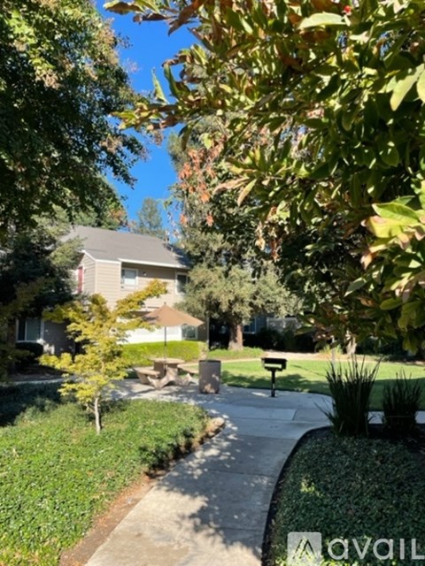 A residential area with a house, trees, and a sidewalk.