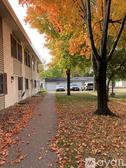 A tree with orange leaves stands next to a sidewalk.