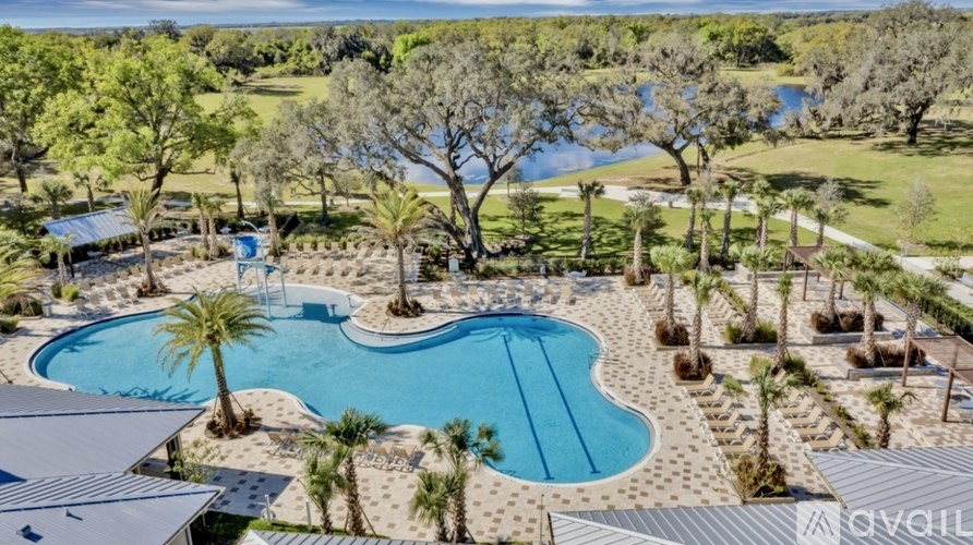 A large outdoor swimming pool surrounded by palm trees and a grassy area.