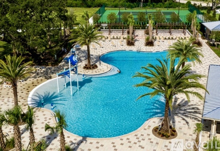 A large blue swimming pool surrounded by palm trees.