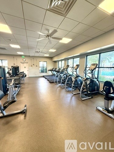 A gym with treadmills, exercise bikes, and weights.