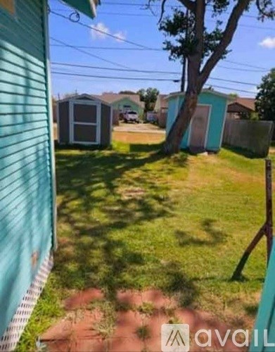 A backyard with a tree, a shed, and a fence.