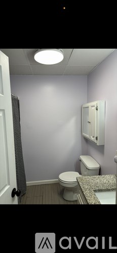 A bathroom with a toilet, sink, and a cabinet.
