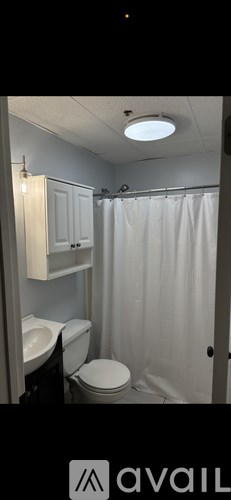 A bathroom with a toilet, sink, and shower.