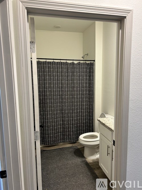 A bathroom with a toilet and a shower curtain.