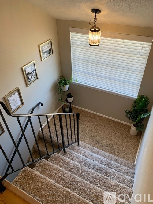 A staircase with a beige carpet and a black metal railing.