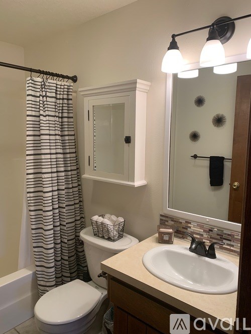 A bathroom with a toilet, sink, and shower curtain.