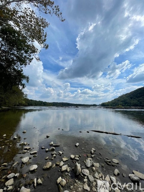 A body of water surrounded by trees and rocks.