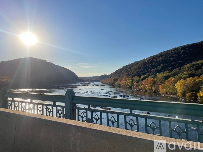 A sunny day with a river and a bridge in the foreground.