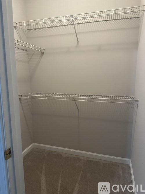 Empty white closet with shelves and a carpeted floor.