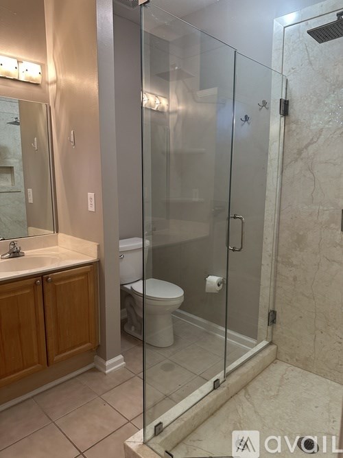 A bathroom with a walk-in shower and a toilet.