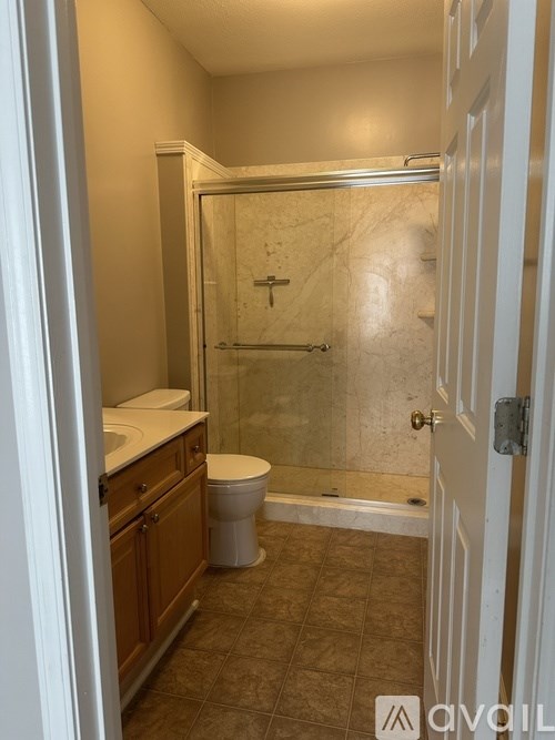 A bathroom with a toilet, sink, and walk-in shower.