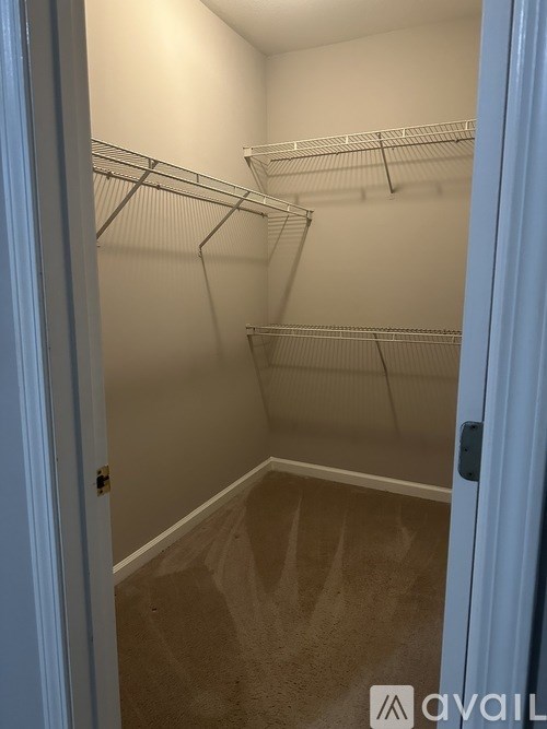 Empty walk-in closet with white shelves and a carpeted floor.