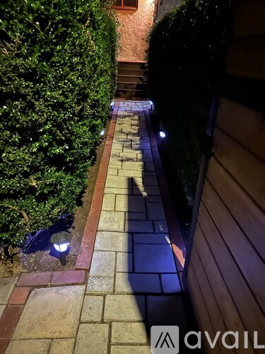 A narrow pathway between two bushes is illuminated by two lights.