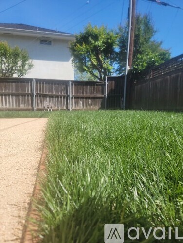 A grassy area in front of a house with a fence.
