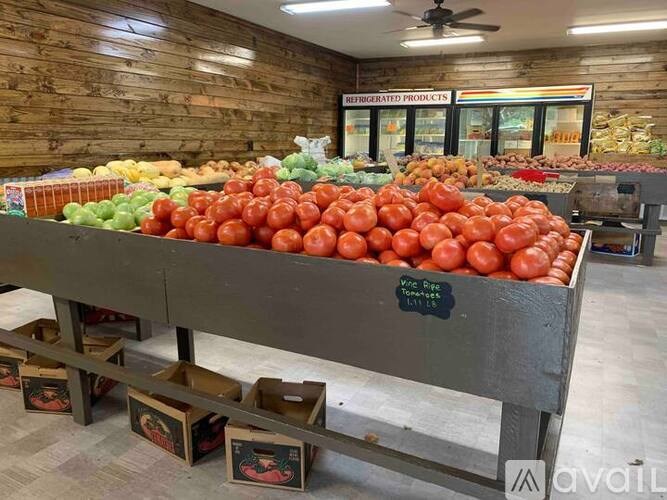A display of fresh produce in a grocery store.
