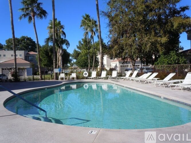 A pool surrounded by palm trees and lounge chairs.