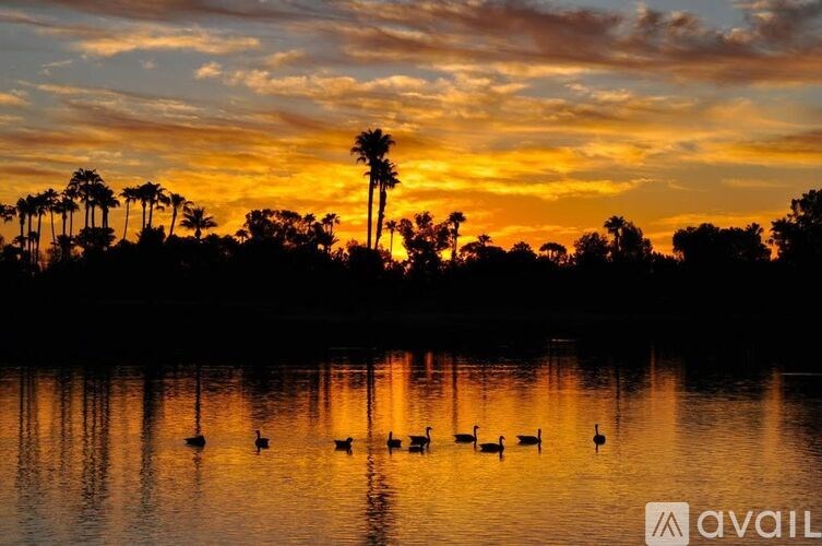 A serene sunset over a body of water with palm trees and a reflection of the sky.