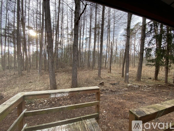 A wooden deck overlooks a forest with the sun shining through the trees.