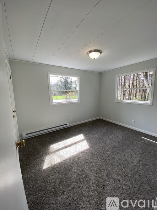 A room with a carpeted floor, a window with blinds, and a door with a gold handle.
