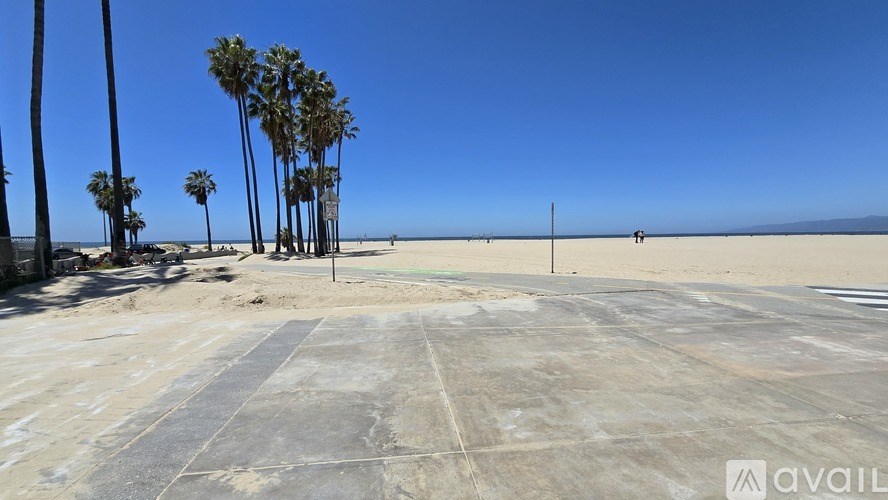 A concrete area with palm trees and a clear sky.