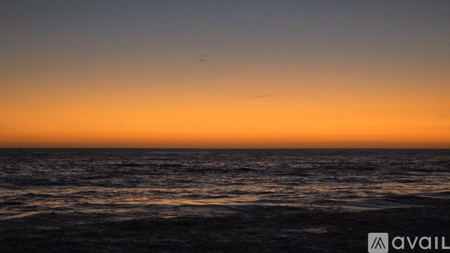 A seascape with a bird flying in the sky.