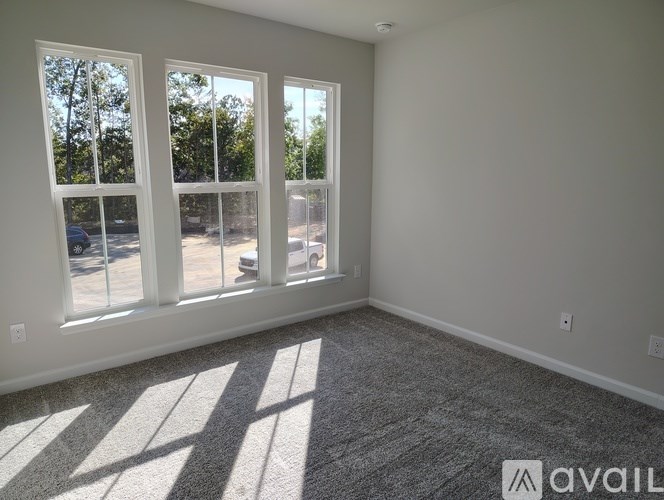 A room with a carpeted floor and three windows letting in sunlight.
