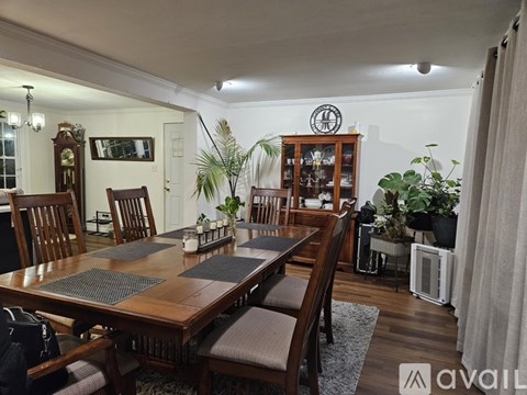A bathroom with a floral shower curtain and a white sink.
