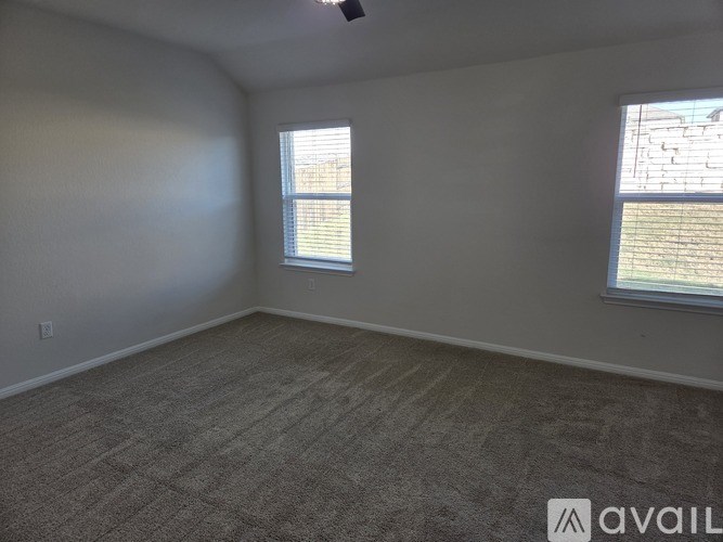 A room with carpeted floor and two windows.